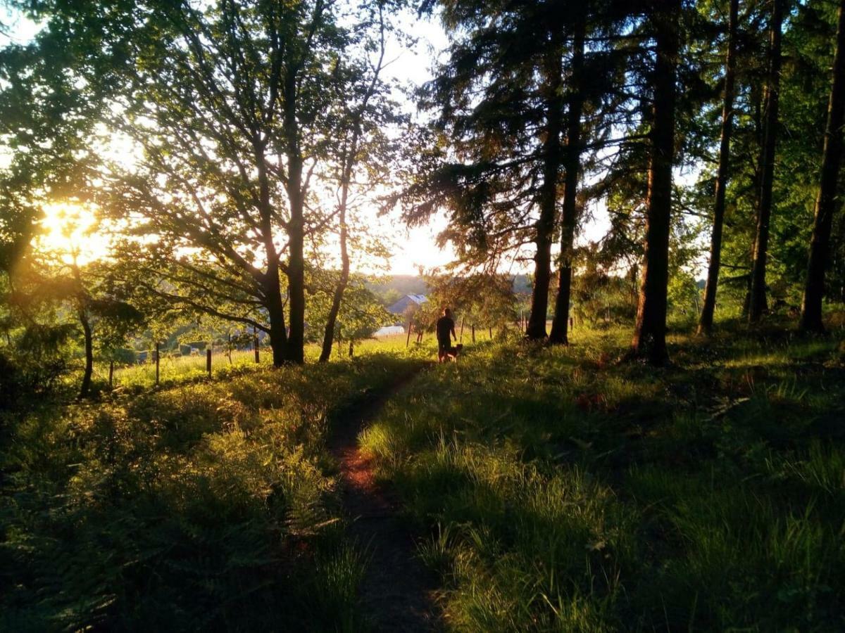 Votre Horizon Daire Aywaille Dış mekan fotoğraf