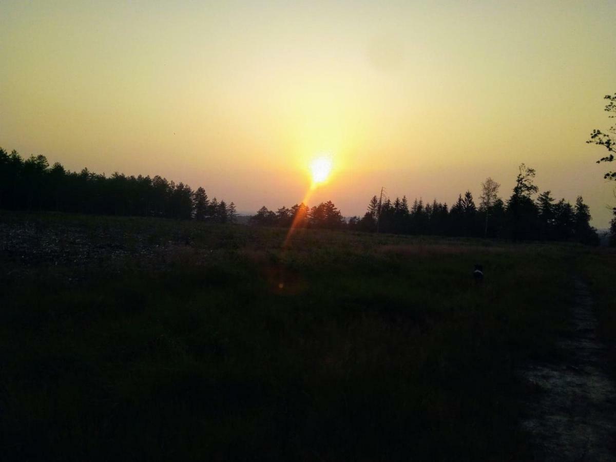 Votre Horizon Daire Aywaille Dış mekan fotoğraf